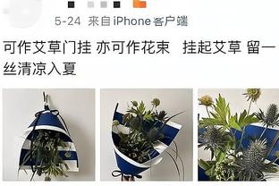 名宿：利桑德罗上抢格罗斯是曼联的一个缩影，人人都想当英雄